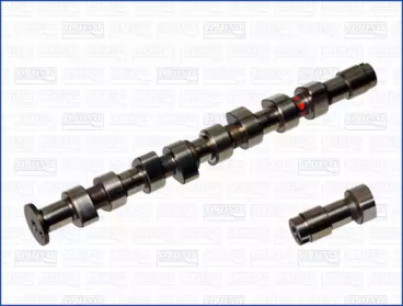 WILMINK GROUP wg1170970 -  Распредвал